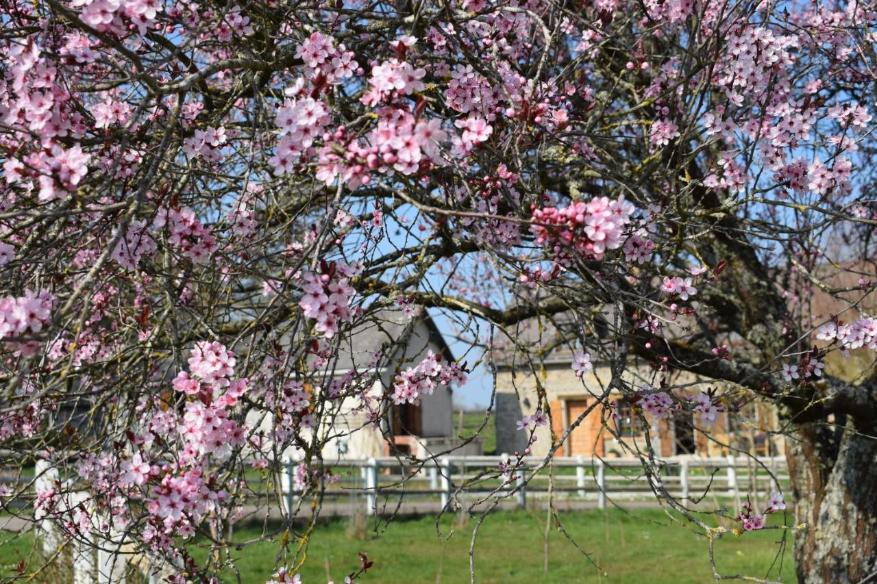 Le Chene D'Or Bed and Breakfast Marcheseuil Εξωτερικό φωτογραφία