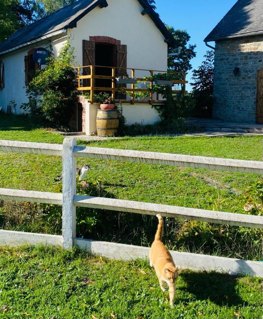 Le Chene D'Or Bed and Breakfast Marcheseuil Εξωτερικό φωτογραφία